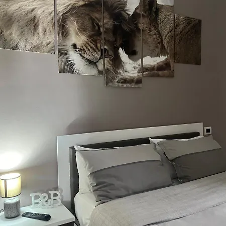 B&B Anastasia-3